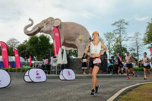 BIB: 
                            <button type="button" onclick="openModal(26528981)" class="btn btn-primary btn-sm float-right btn-popup" data-toggle="modal" data-target=".modal-high-quality">
                        <i class="fas fa-shopping-cart"></i> Add to Cart
                    </button>
                                            <button type="button" onclick="isThisMe(26528981, true)" class="btn btn-success btn-sm float-right btn-popup btn-isme hidden" data-toggle="tooltip" data-placement="bottom" title="นี่คือรูปของคุณใช่ไหม คลิกที่นี่เพื่อเอาเข้าอัลบั้ม">
                        <i class="fas fa-plus"></i> Add to album
                    </button>
                    <button type="button" onclick="isThisMe(26528981, false)" class="btn btn-warning btn-sm float-right btn-popup btn-isnotme hidden">
                        <i class="fas fa-ban"></i> Remove from album
                    </button>